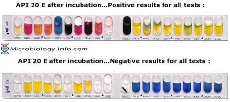 api strip tests results.